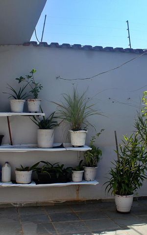 Casa à venda com 250m², 3 quartos e 3 vagasQuintal