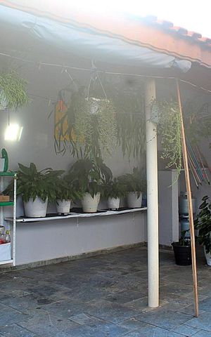 Casa à venda com 250m², 3 quartos e 3 vagasÁrea Comum - Churrasqueira