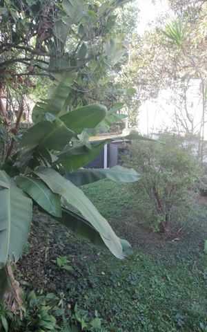 Casa à venda com 380m², 4 quartos e 3 vagasJardim