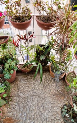 Apartamento para alugar com 95m², 3 quartos e 2 vagas Apartamento para alugar com 95m², 3 quartos e 2 vagasVaranda da Sala