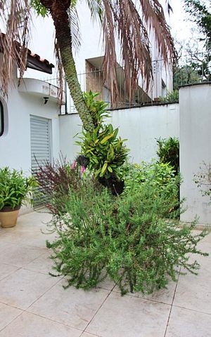 Casa à venda com 340m², 4 quartos e 4 vagasJardim