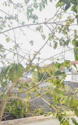 Casa à venda com 360m², 3 quartos e 6 vagasVista