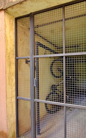 Apartamento à venda com 97m², 2 quartos e 2 vagasÁrea Comum