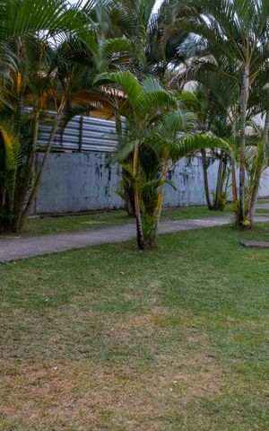 Apartamento para alugar com 50m², 2 quartos e sem vaga Apartamento para alugar com 50m², 2 quartos e sem vagaJardim