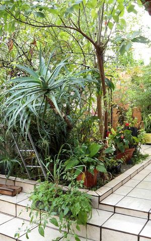 Casa à venda com 160m², 3 quartos e 2 vagasJardim