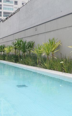 Apartamento para alugar com 65m², 2 quartos e 1 vaga Apartamento para alugar com 65m², 2 quartos e 1 vagaPiscina