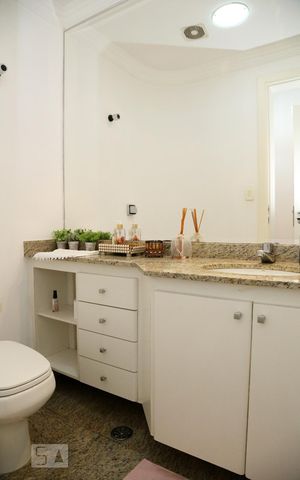 Apartamento para alugar com 256m², 4 quartos e 5 vagasLavabo