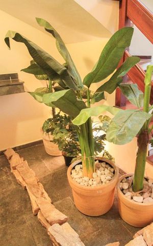 Casa à venda com 280m², 4 quartos e 2 vagasDetalhe