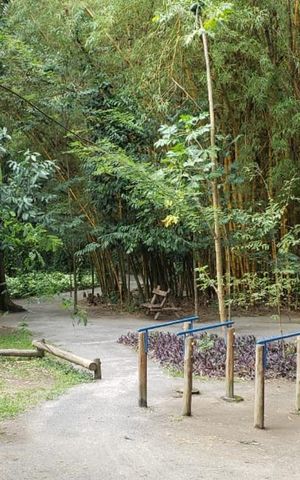 Apartamento à venda com 88m², 4 quartos e 1 vaga Apartamento à venda com 88m², 4 quartos e 1 vagaBosque