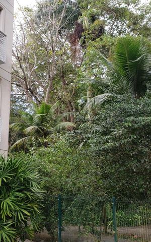 Apartamento à venda com 88m², 4 quartos e 1 vaga Apartamento à venda com 88m², 4 quartos e 1 vagaBosque