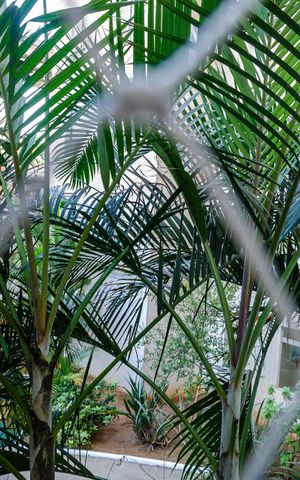 Apartamento à venda com 62m², 2 quartos e sem vagaVIsta