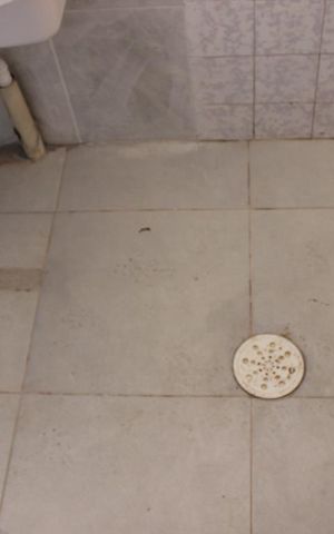 Apartamento à venda com 90m², 2 quartos e 1 vagaÁrea de Serviço