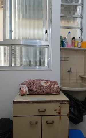 Apartamento à venda com 103m², 3 quartos e 1 vagaÁrea de Serviço