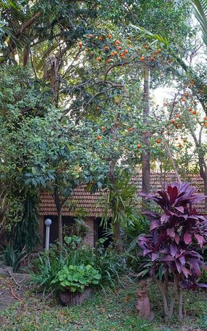 Casa à venda com 181m², 3 quartos e 2 vagasPatio