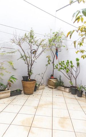 Casa para alugar com 200m², 3 quartos e 4 vagasQuintal