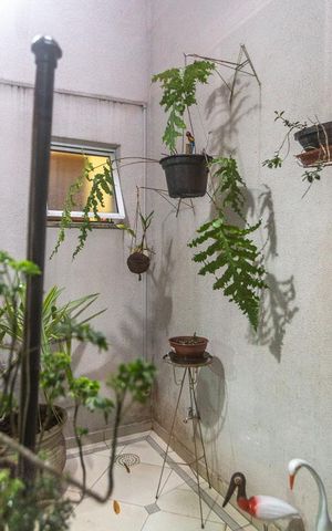 Casa para alugar com 200m², 3 quartos e 4 vagasJardim