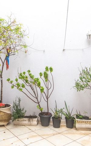 Casa para alugar com 200m², 3 quartos e 4 vagasQuintal