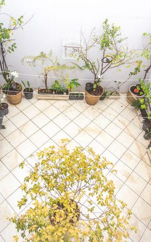 Casa para alugar com 200m², 3 quartos e 4 vagasQuintal