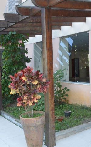 Apartamento à venda com 50m², 2 quartos e 1 vagaSalão de Festas do Bloco