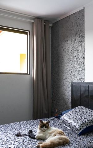 Casa para alugar com 392m², 6 quartos e 5 vagas Casa para alugar com 392m², 6 quartos e 5 vagasQuarto 1 casa dos fundos
