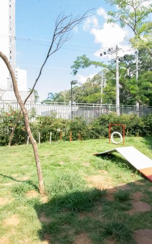 Apartamento para alugar com 44m², 2 quartos e 1 vaga Apartamento para alugar com 44m², 2 quartos e 1 vagaEspaço pet