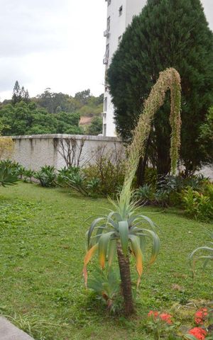 Apartamento à venda com 103m², 3 quartos e 1 vagaJardim