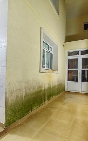 Casa à venda com 300m², 4 quartos e 2 vagas Casa à venda com 300m², 4 quartos e 2 vagasQuintal
