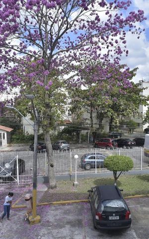 Apartamento para alugar com 55m², 2 quartos e 1 vagaVista do Quarto 1