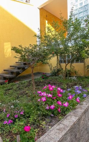 Casa à venda com 340m², 3 quartos e 8 vagasJardim