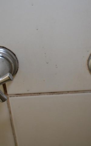 Apartamento à venda com 60m², 2 quartos e sem vagaBanheiro Social