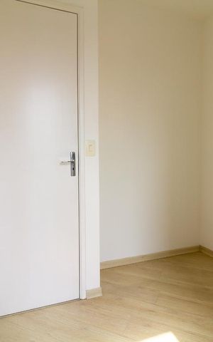 Apartamento para alugar com 55m², 3 quartos e 1 vaga