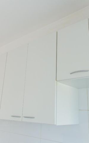 Apartamento para alugar com 60m², 2 quartos e 1 vagaArmário