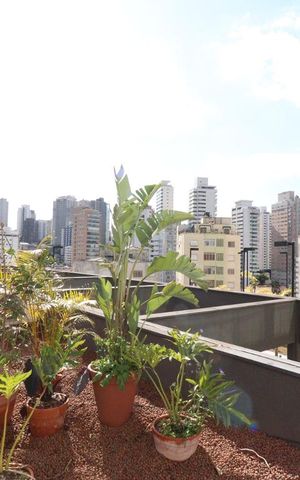 Apartamento à venda com 37m², 1 quarto e 1 vagaVista