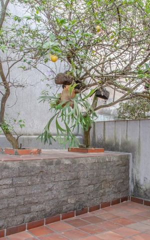 Casa à venda com 152m², 3 quartos e 2 vagas Casa à venda com 152m², 3 quartos e 2 vagasQuintal