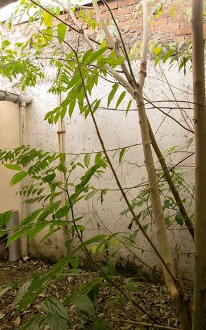 Casa à venda com 360m², 4 quartos e 1 vagaVista