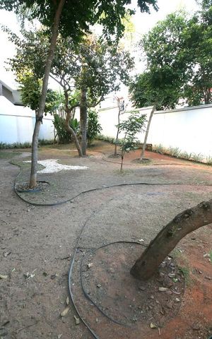 Apartamento à venda com 61m², 2 quartos e 1 vagaEspaço Pet