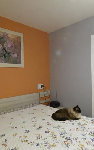 Apartamento à venda com 72m², 3 quartos e 1 vagaSuite