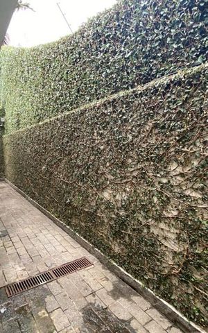 Casa para alugar com 412m², 5 quartos e 2 vagas Casa para alugar com 412m², 5 quartos e 2 vagasVista da Suíte 3