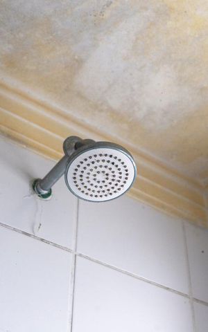 Apartamento para alugar com 72m², 2 quartos e 1 vagaChuveiro