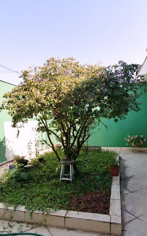 Casa para alugar com 267m², 4 quartos e 6 vagas Casa para alugar com 267m², 4 quartos e 6 vagasÁrea Externa