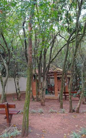Apartamento para alugar com 58m², 2 quartos e 1 vagaÁrea comum - Churrasqueira