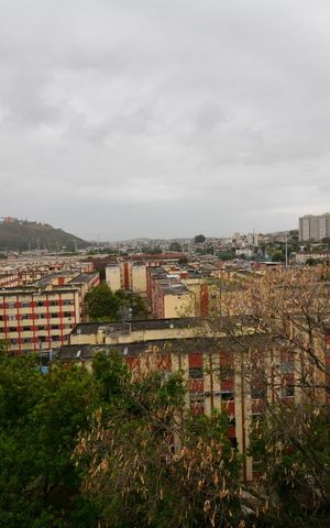 Apartamento à venda com 61m², 2 quartos e 1 vagaVista do Quarto 1