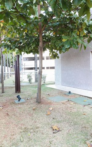Apartamento à venda com 76m², 3 quartos e 1 vaga Apartamento à venda com 76m², 3 quartos e 1 vagaÁrea comum - Redário