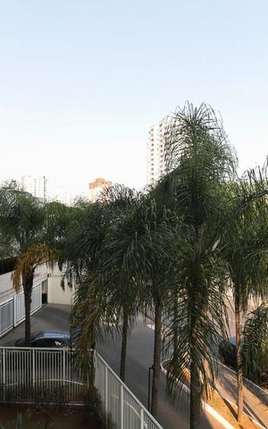 Apartamento à venda com 76m², 3 quartos e 1 vaga Apartamento à venda com 76m², 3 quartos e 1 vagaVista da Suíte