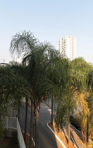 Apartamento à venda com 76m², 3 quartos e 1 vaga Apartamento à venda com 76m², 3 quartos e 1 vagaVista do Quarto 2