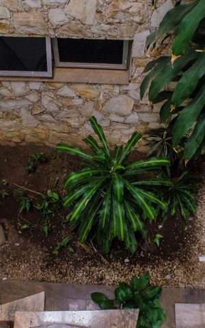 Casa à venda com 300m², 3 quartos e 5 vagasJardim de Inverno