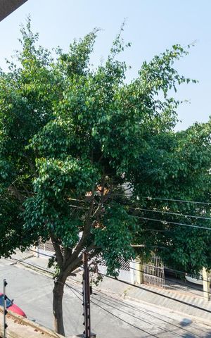 Casa à venda com 312m², 3 quartos e 5 vagasVista Sacada Suíte 1