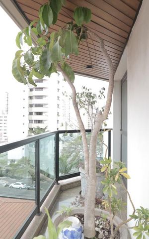 Apartamento à venda com 270m², 4 quartos e 4 vagasSacada da Sala de Estar