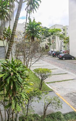 Apartamento para alugar com 47m², 2 quartos e 1 vaga Apartamento para alugar com 47m², 2 quartos e 1 vagaQuarto 1 Vista