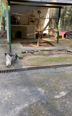 Casa de condomínio à venda com 122m², 3 quartos e 5 vagas Casa de condomínio à venda com 122m², 3 quartos e 5 vagasÁrea comum - Mini Zoo